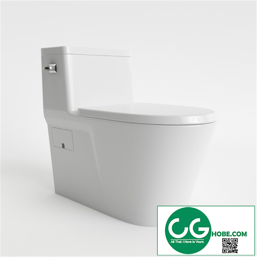Simple toilet